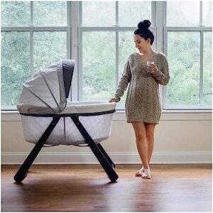 Ingenuity Foldaway Rocking Bassinet Wood